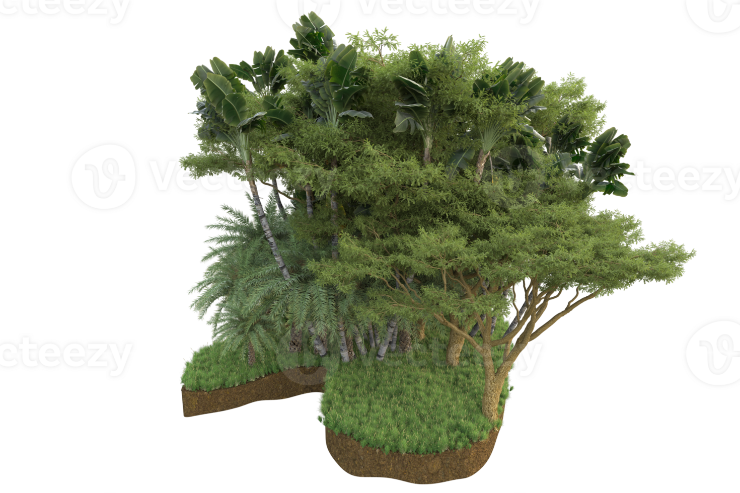 Realistic forest isolated on transparent background. 3d rendering - illustration png