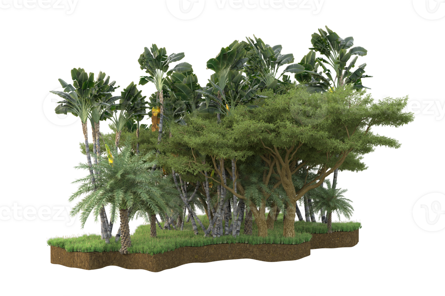 Realistic forest isolated on transparent background. 3d rendering - illustration png
