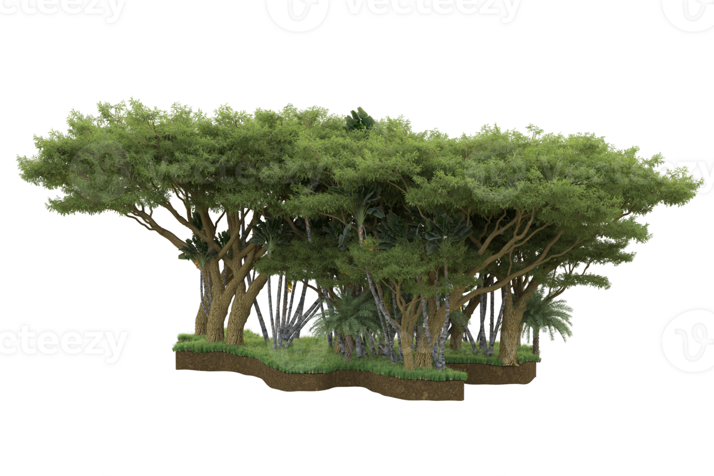 Realistic forest isolated on transparent background. 3d rendering - illustration png