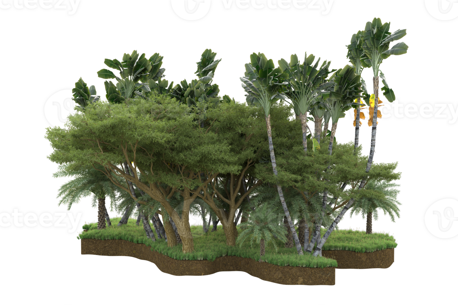 Realistic forest isolated on transparent background. 3d rendering - illustration png
