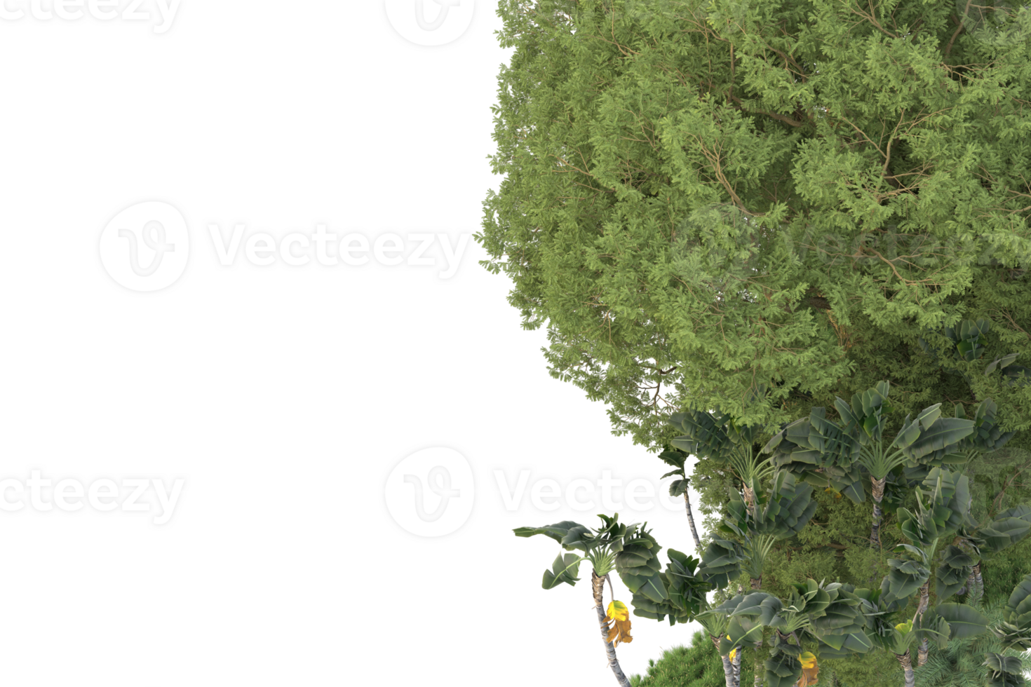 Realistic forest isolated on transparent background. 3d rendering - illustration png