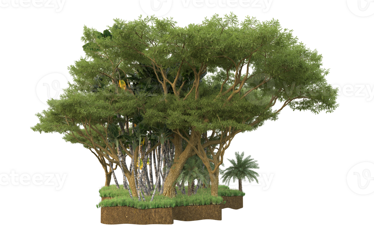 Realistic forest isolated on transparent background. 3d rendering - illustration png