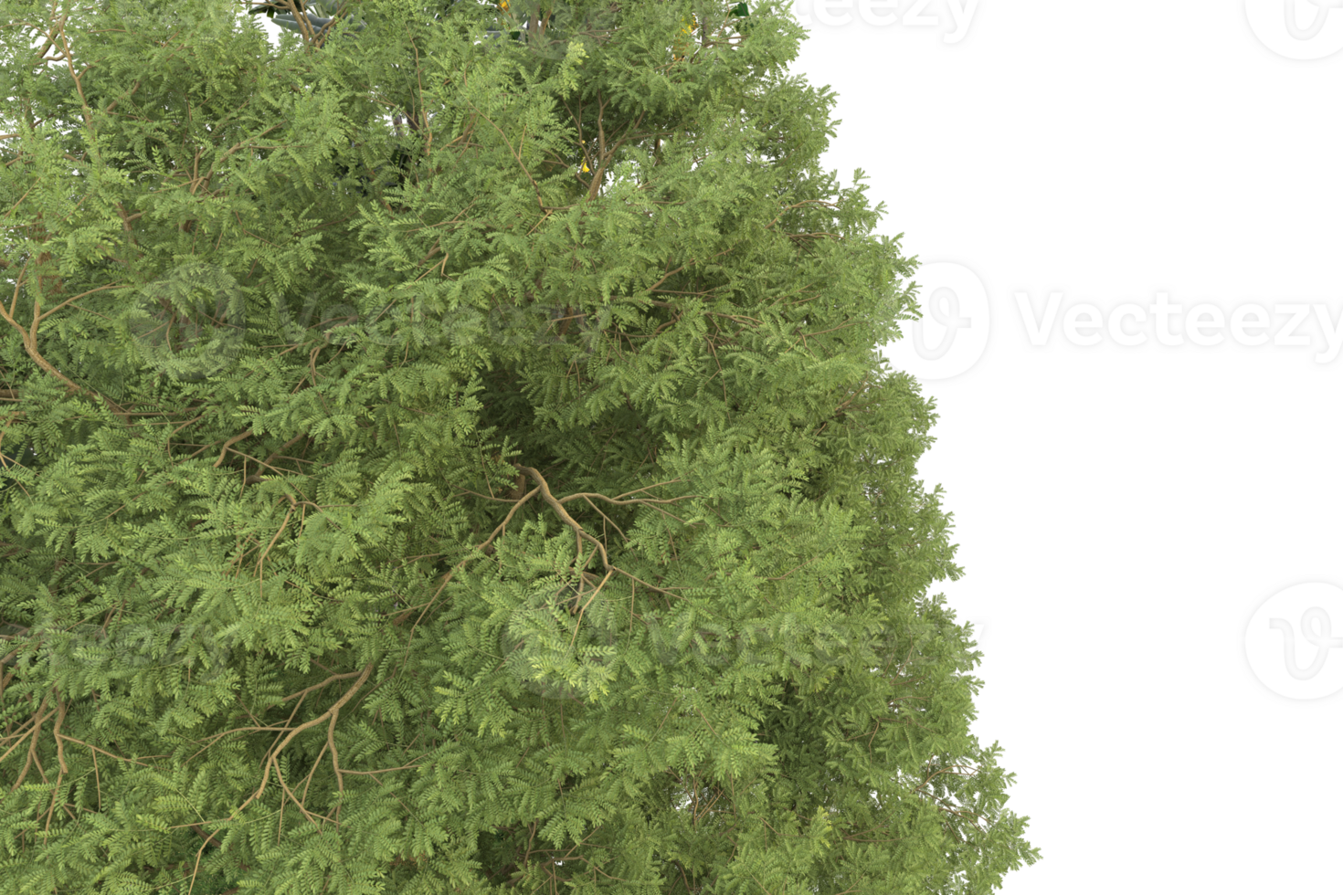 Realistic forest isolated on transparent background. 3d rendering - illustration png