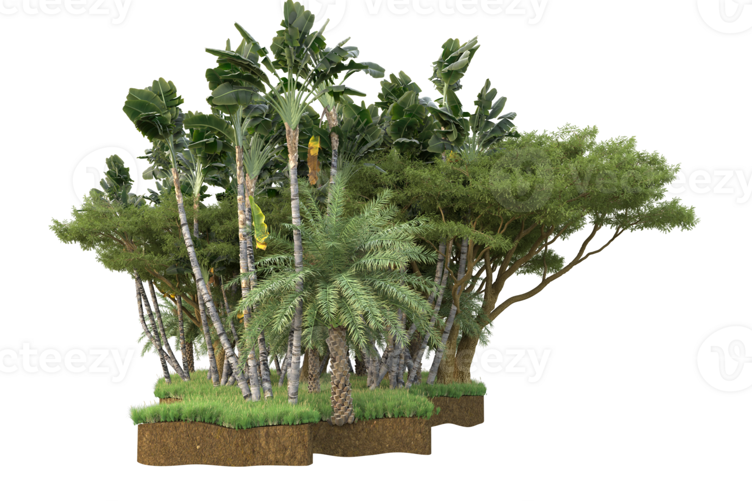 Realistic forest isolated on transparent background. 3d rendering - illustration png