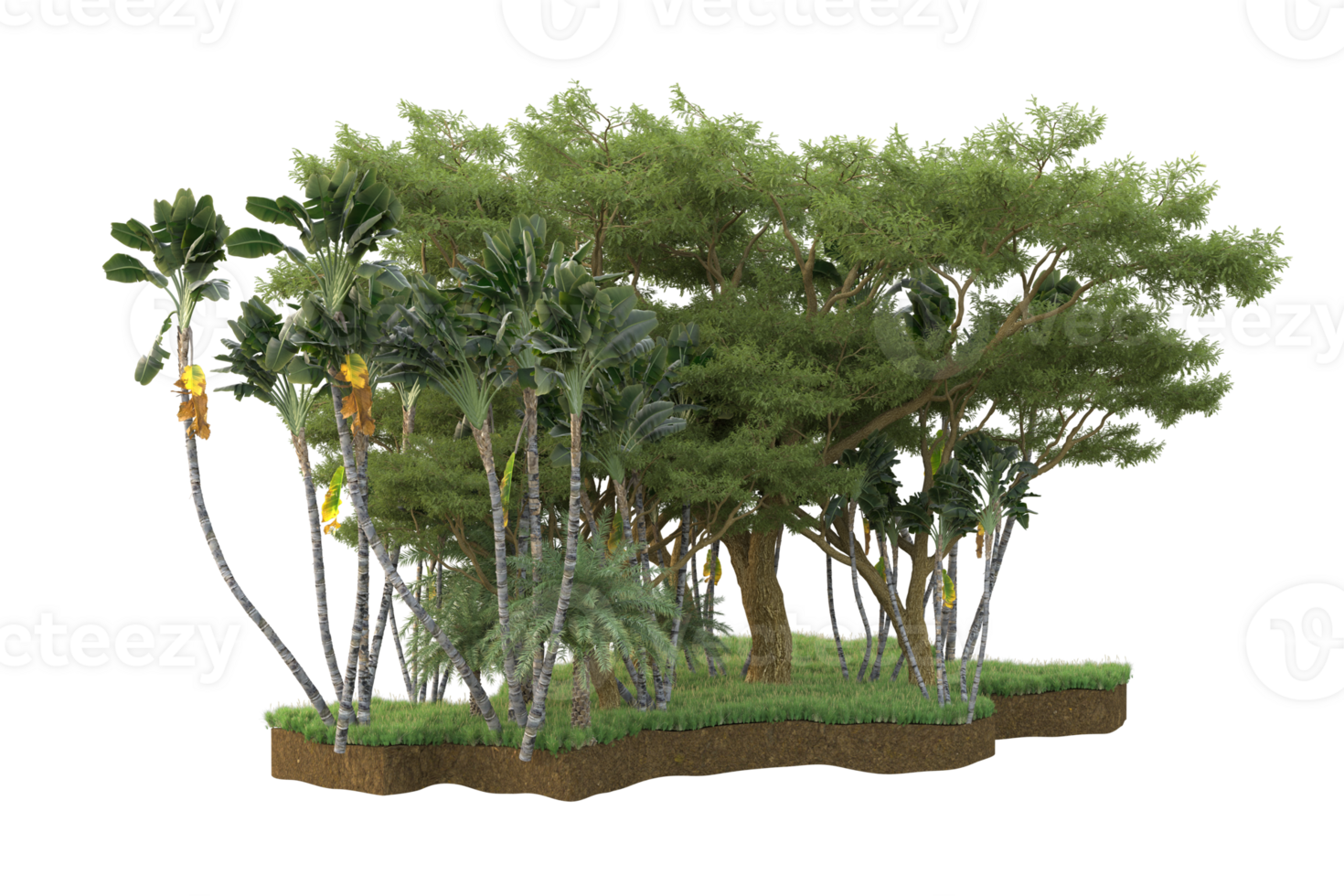 Realistic forest isolated on transparent background. 3d rendering - illustration png