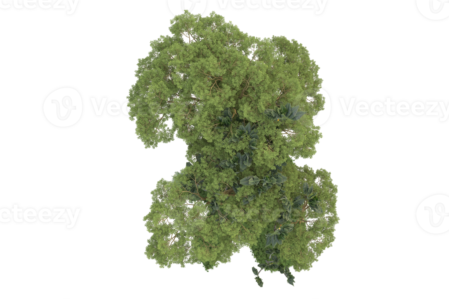 Realistic forest isolated on transparent background. 3d rendering - illustration png