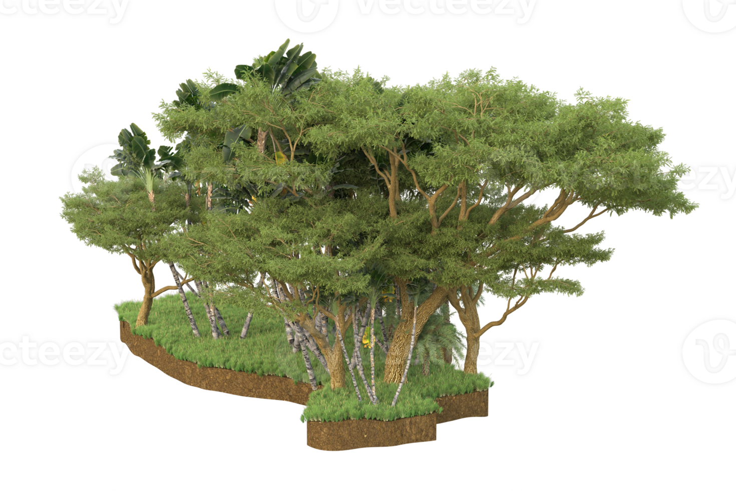 Realistic forest isolated on transparent background. 3d rendering - illustration png