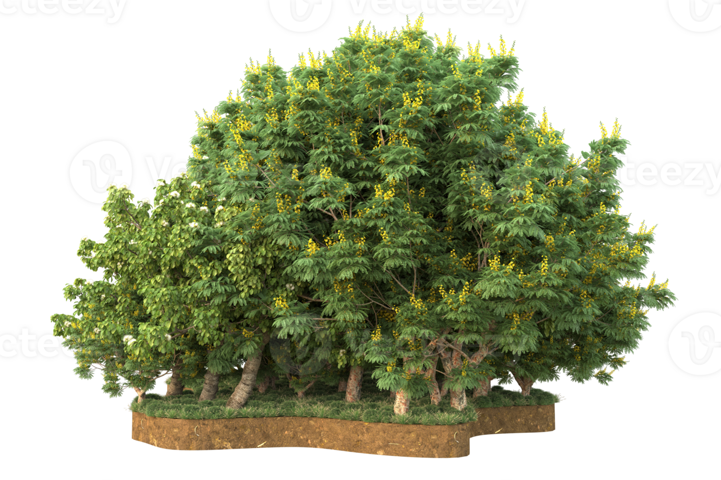 Realistic forest isolated on transparent background. 3d rendering - illustration png