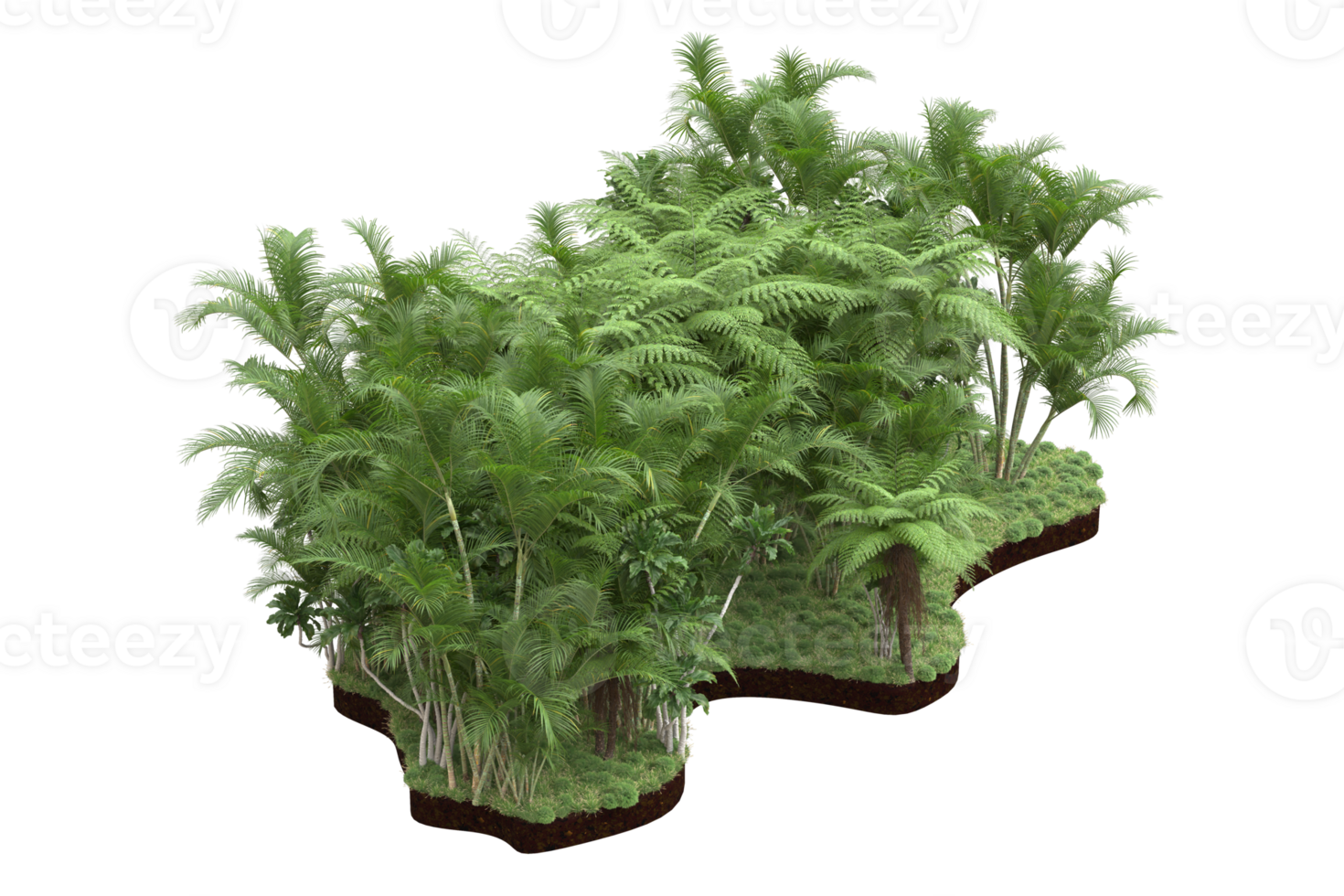 Realistic forest isolated on transparent background. 3d rendering - illustration png