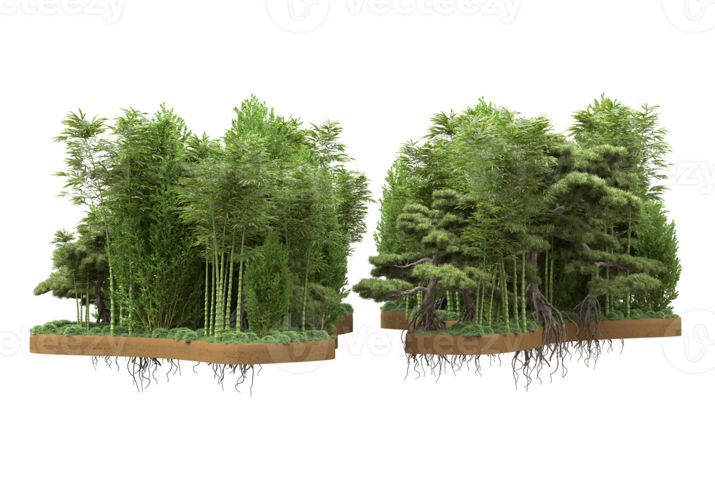 Realistic forest isolated on transparent background. 3d rendering - illustration png