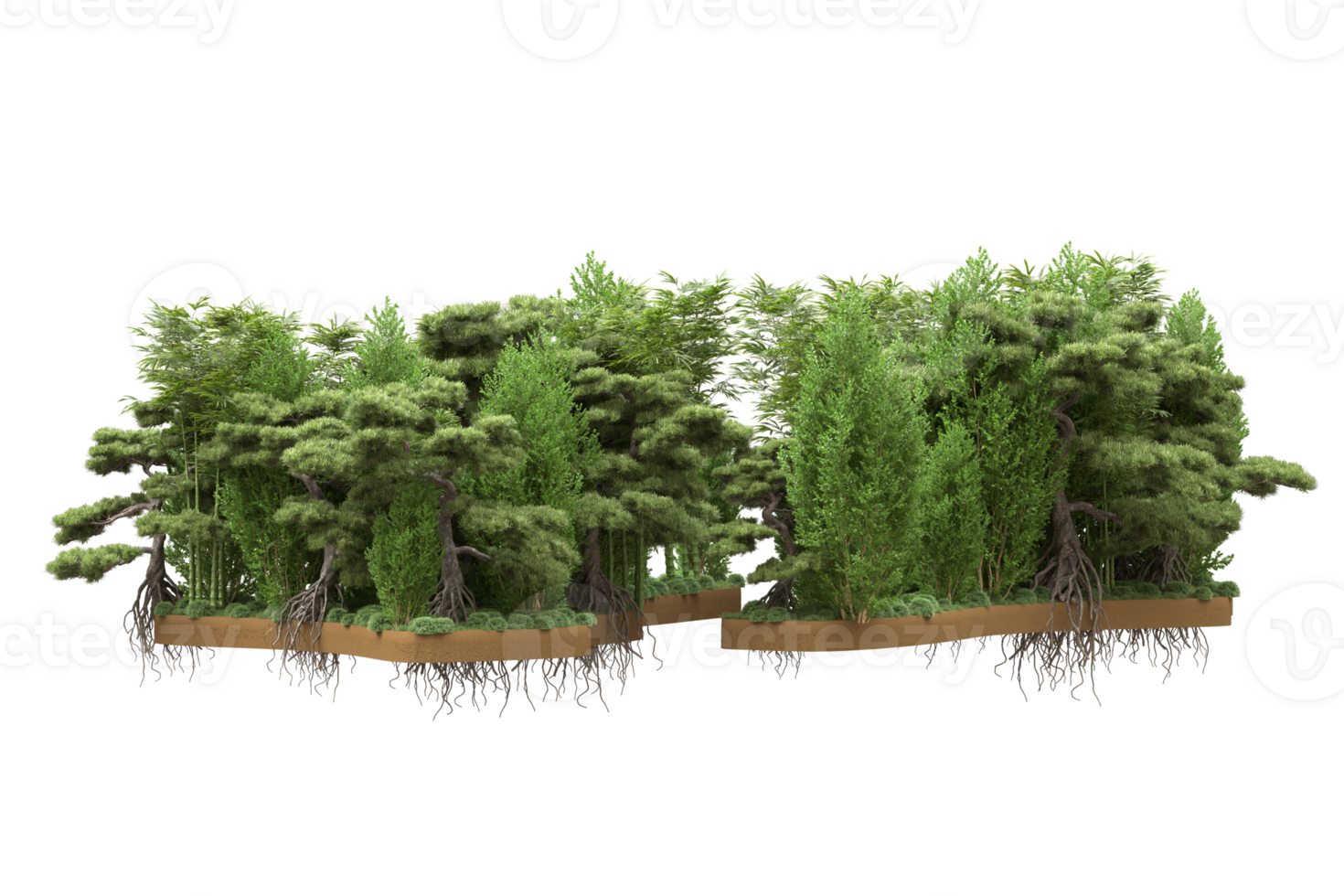 Realistic forest isolated on transparent background. 3d rendering - illustration png