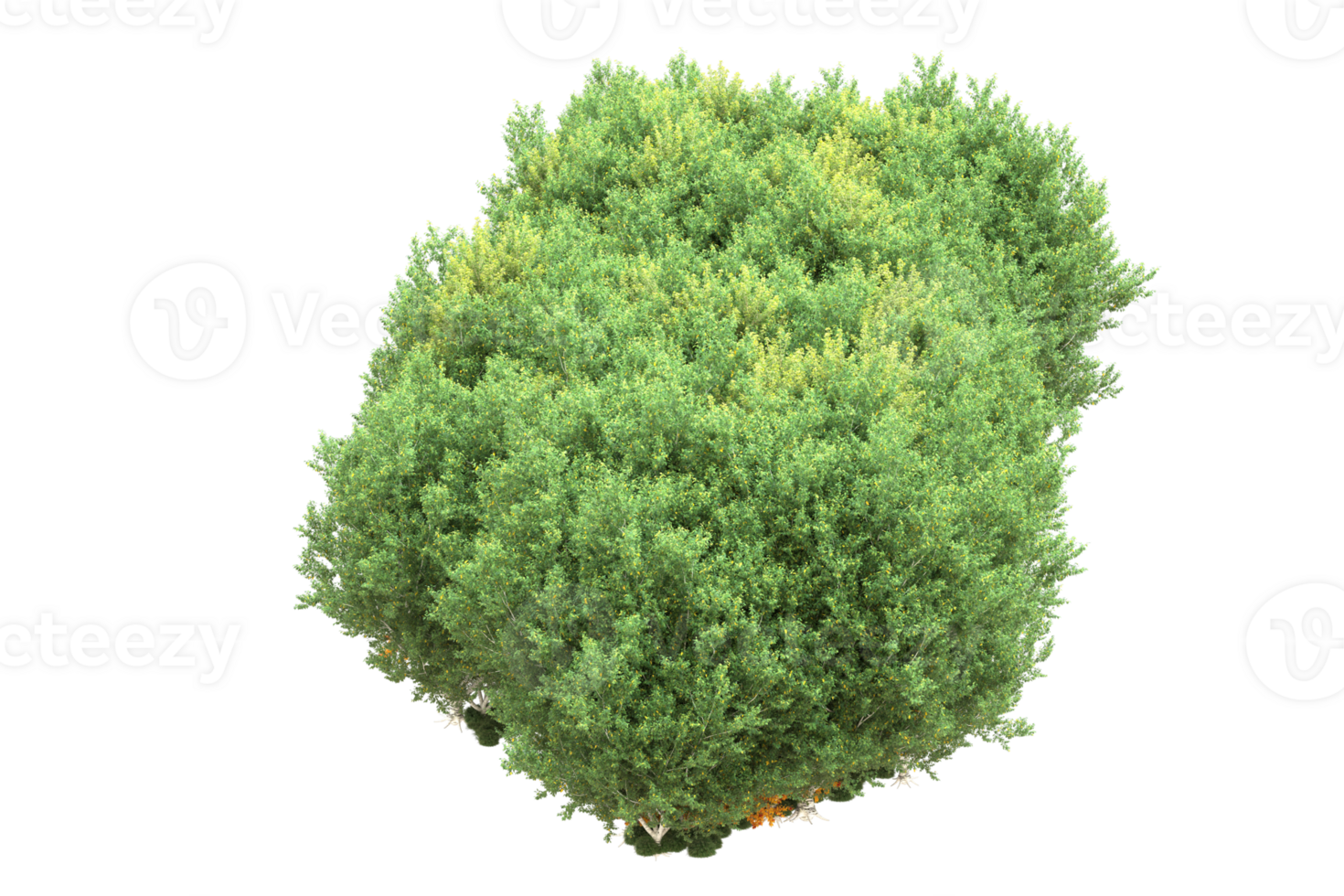 Realistic forest isolated on transparent background. 3d rendering - illustration png