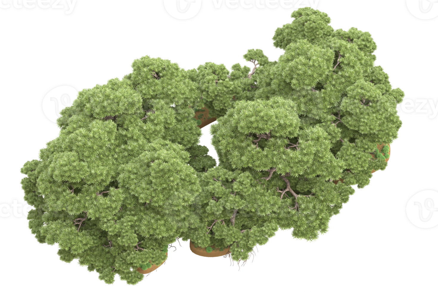 Realistic forest isolated on transparent background. 3d rendering - illustration png