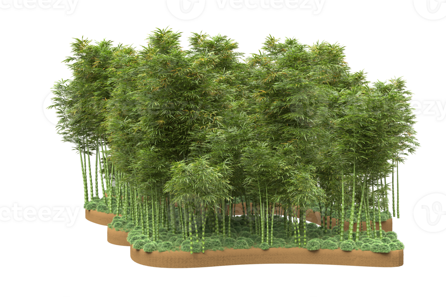 Realistic forest isolated on transparent background. 3d rendering - illustration png