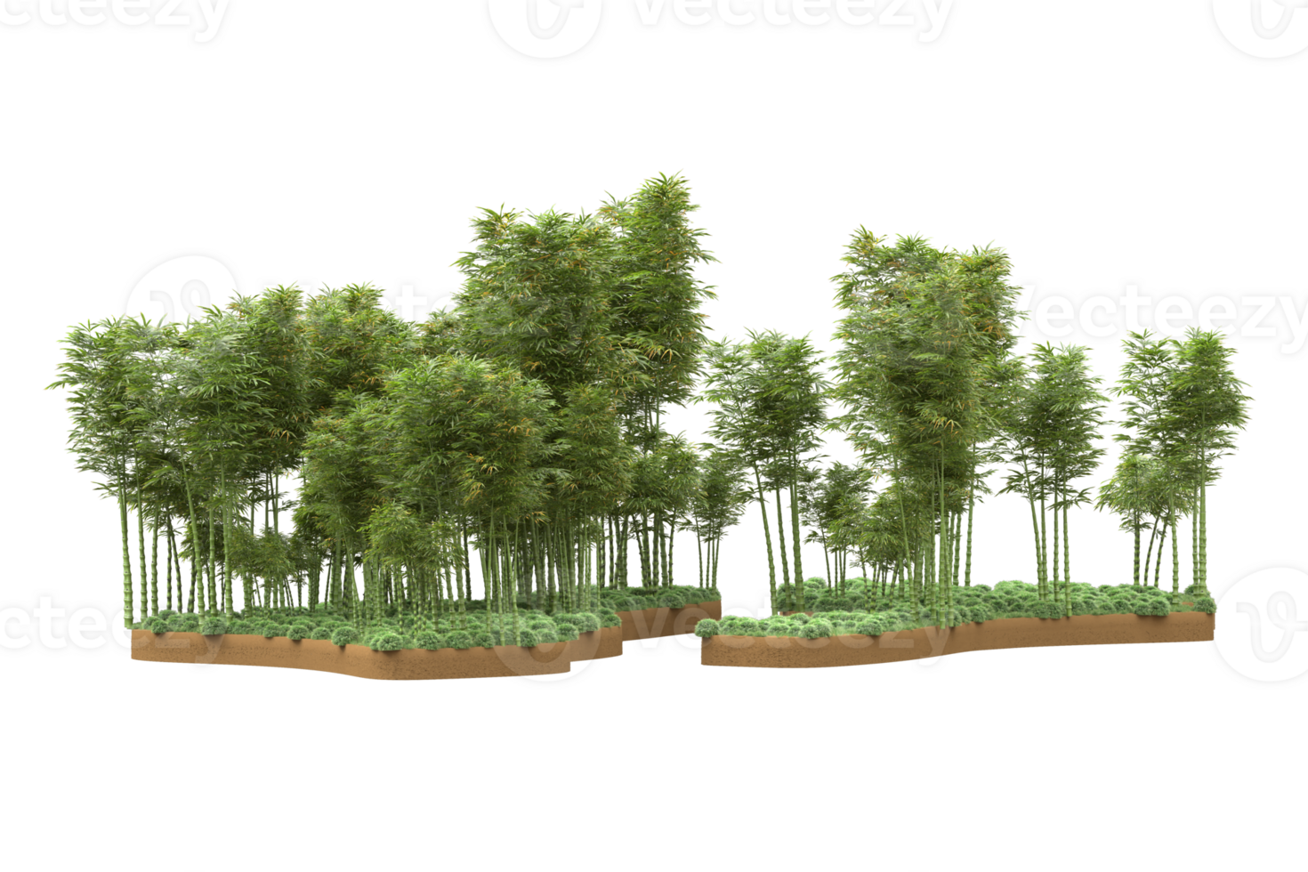 Realistic forest isolated on transparent background. 3d rendering - illustration png