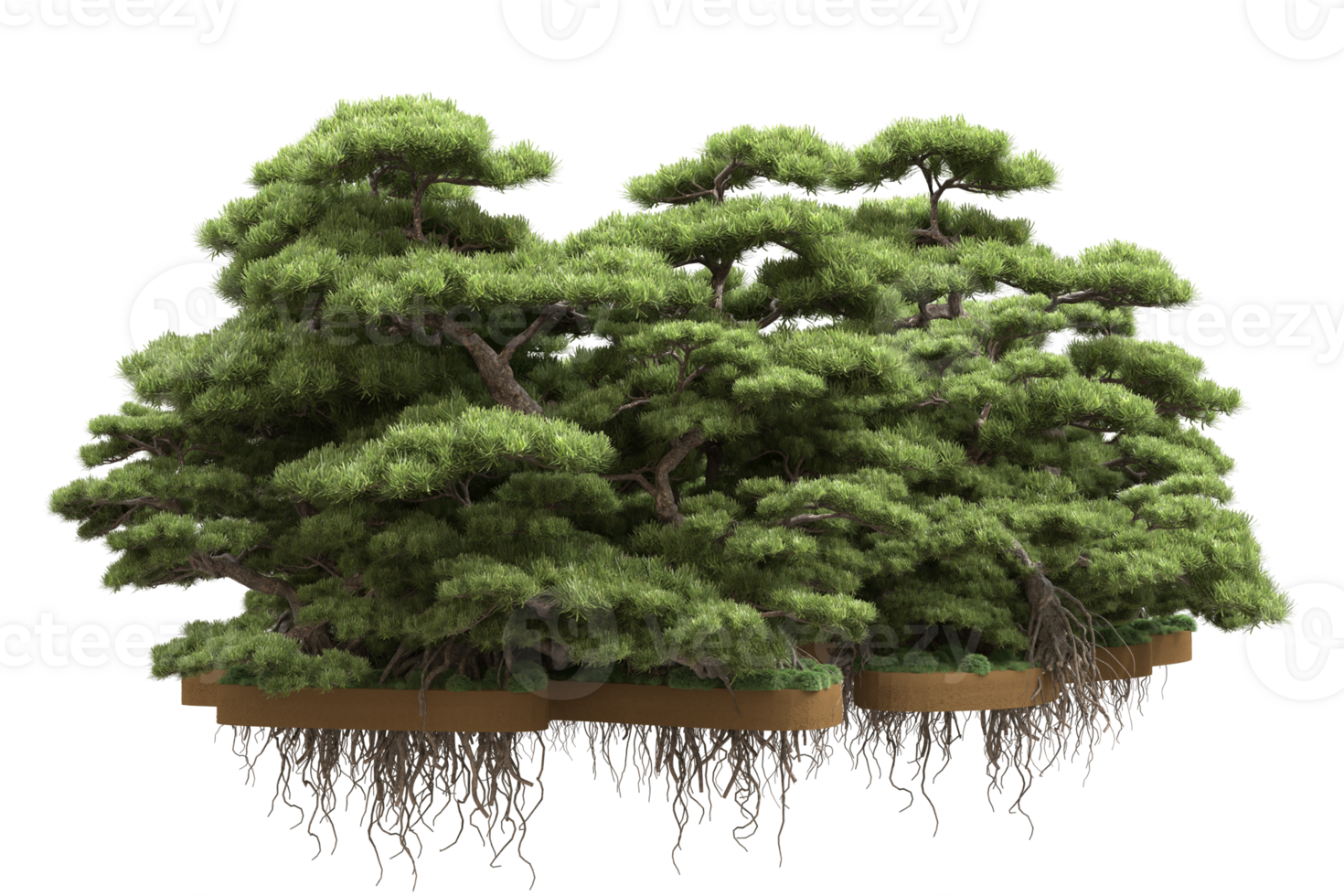 Realistic forest isolated on transparent background. 3d rendering - illustration png