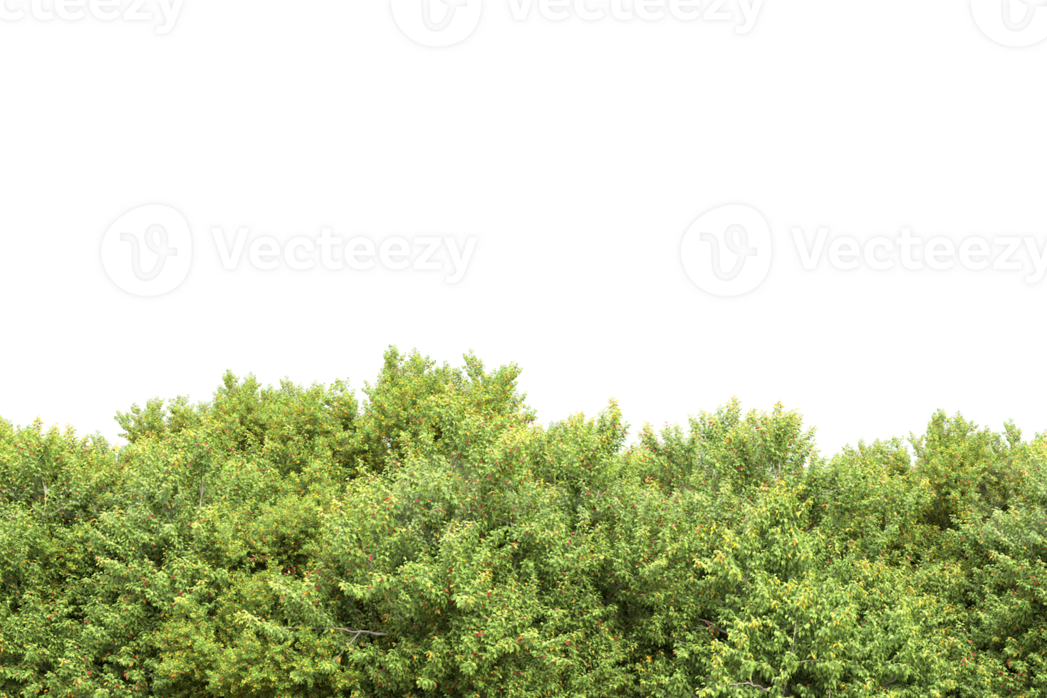 Realistic forest isolated on transparent background. 3d rendering - illustration png