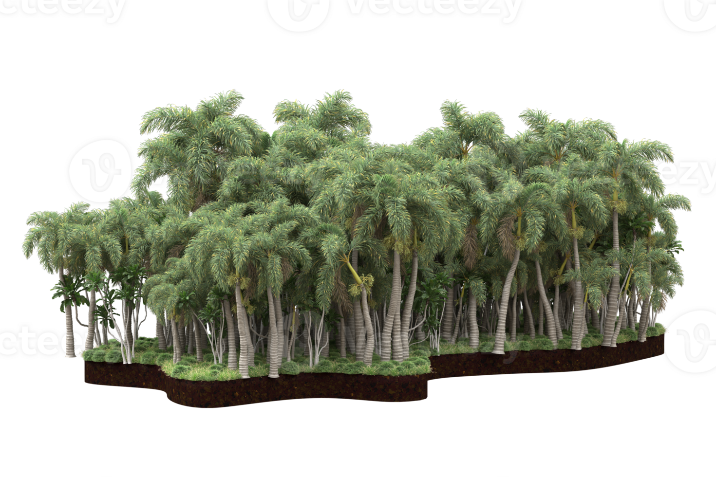 Realistic forest isolated on transparent background. 3d rendering - illustration png