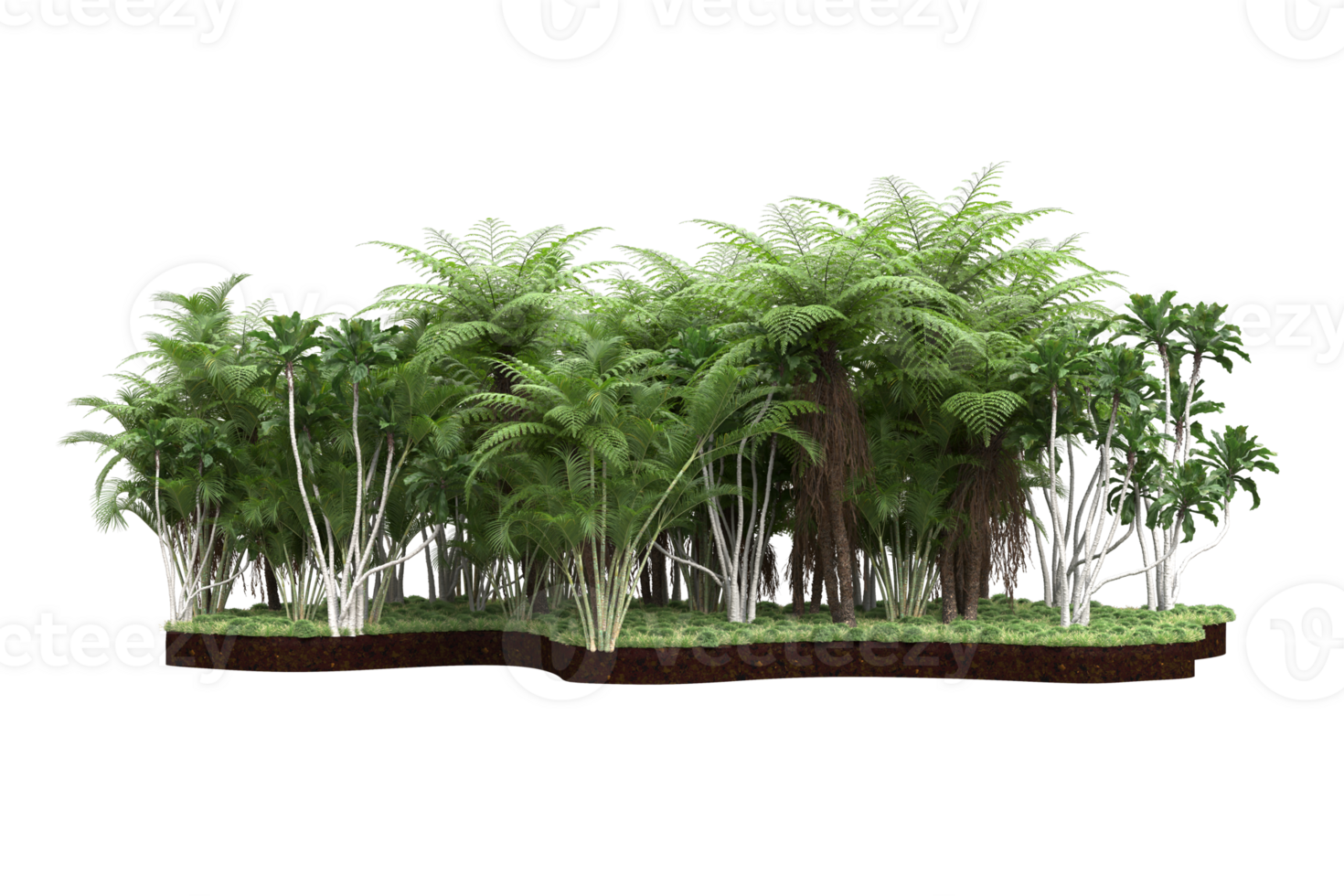 Realistic forest isolated on transparent background. 3d rendering - illustration png