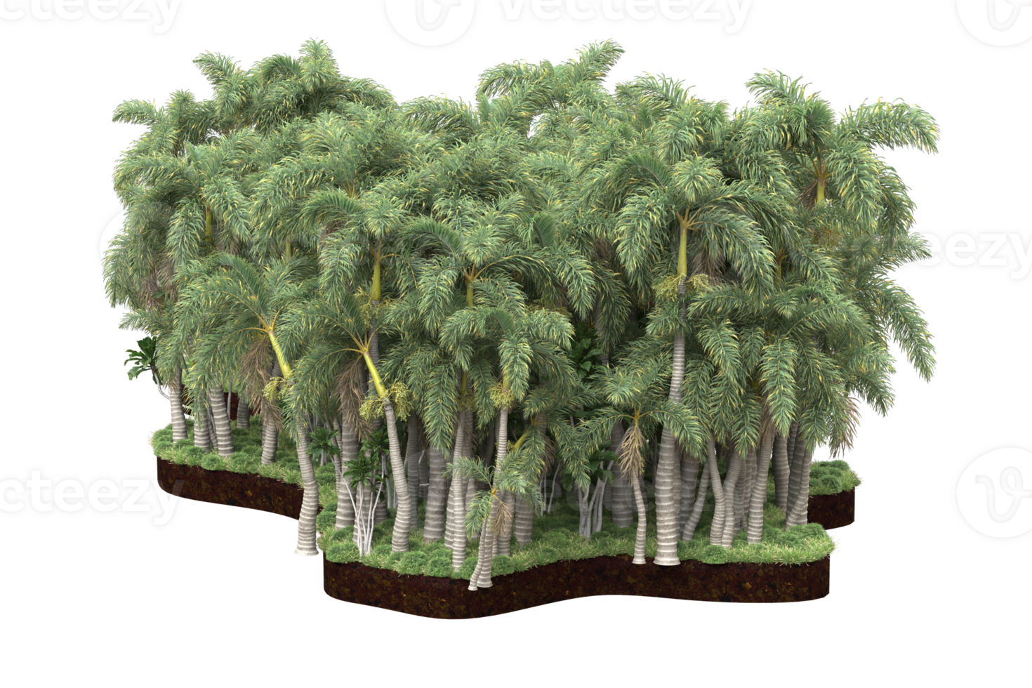 Realistic forest isolated on transparent background. 3d rendering - illustration png