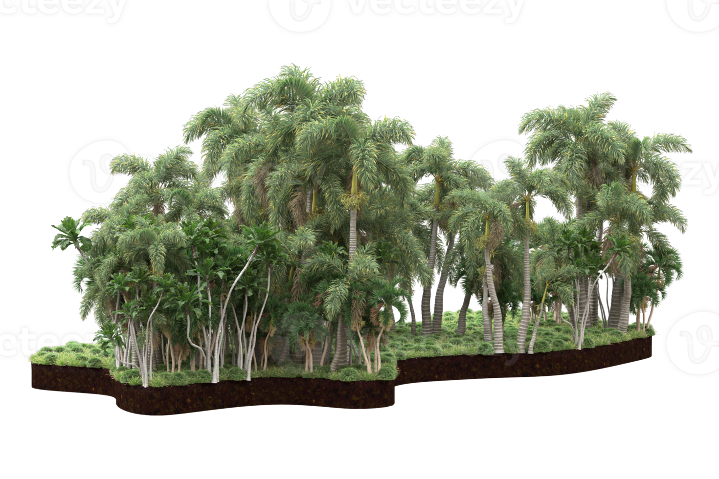 Realistic forest isolated on transparent background. 3d rendering - illustration png
