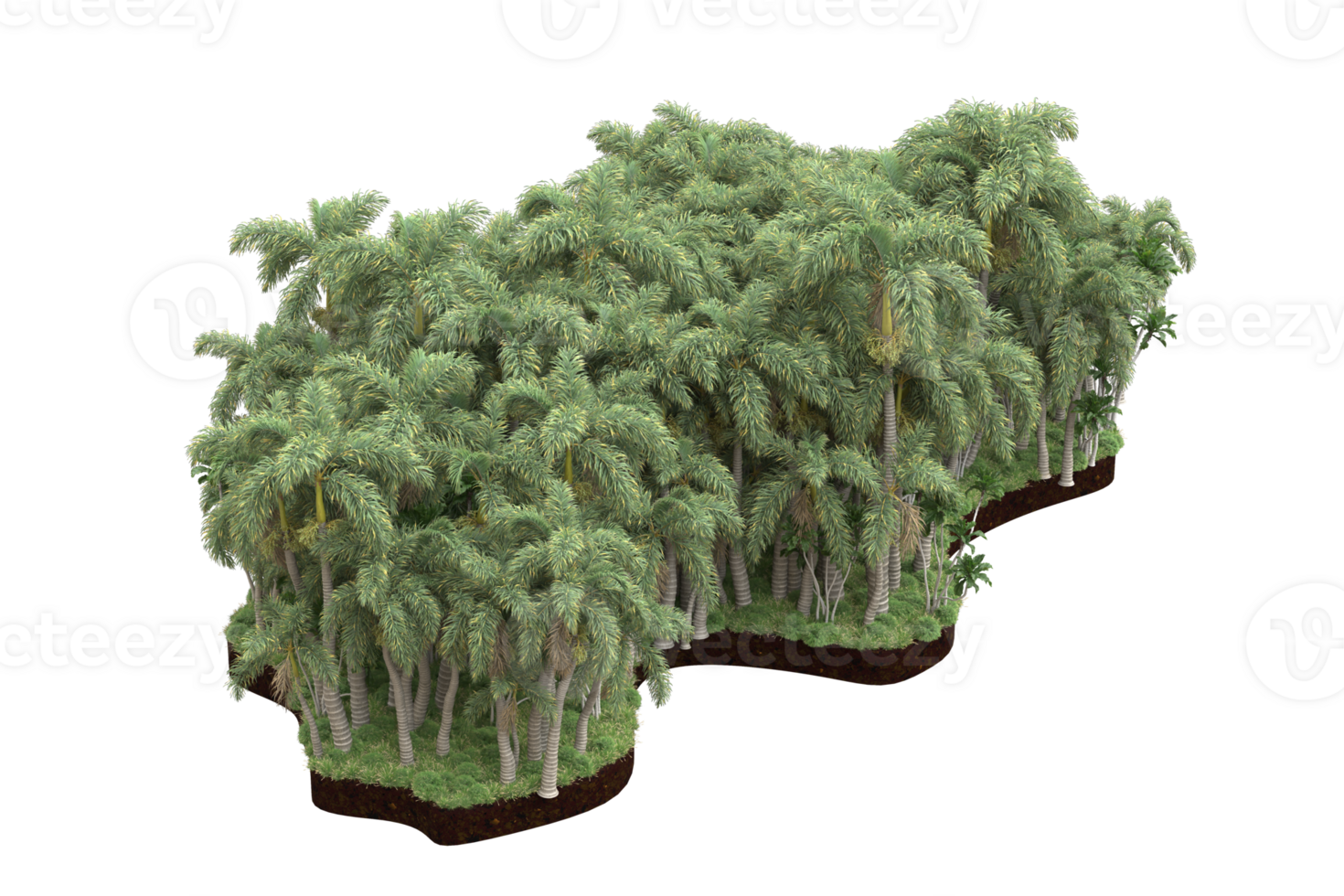 Realistic forest isolated on transparent background. 3d rendering - illustration png