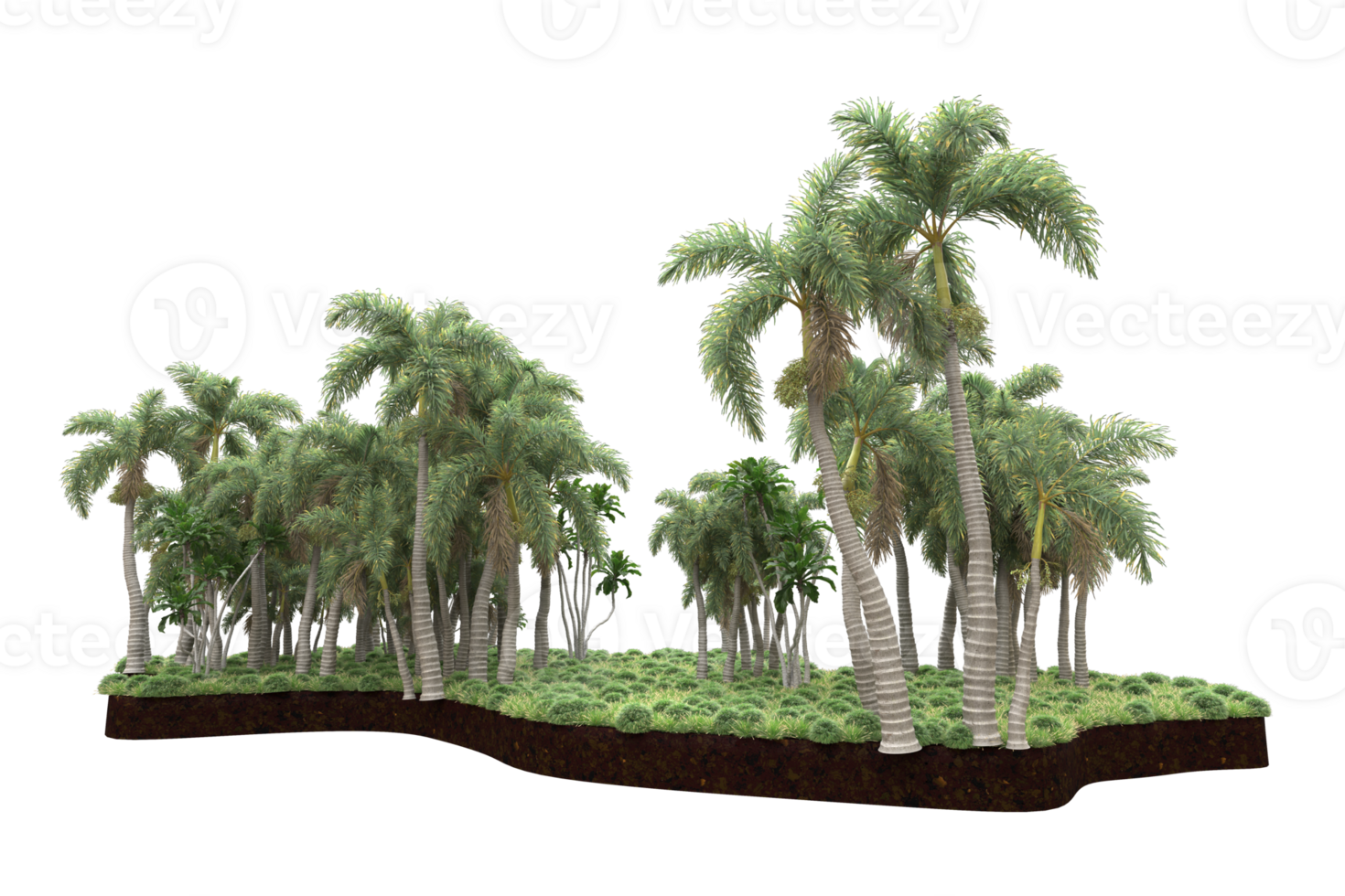 Realistic forest isolated on transparent background. 3d rendering - illustration png