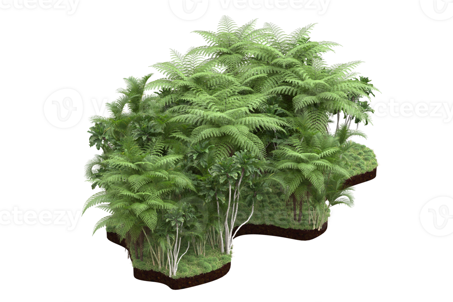 Realistic forest isolated on transparent background. 3d rendering - illustration png