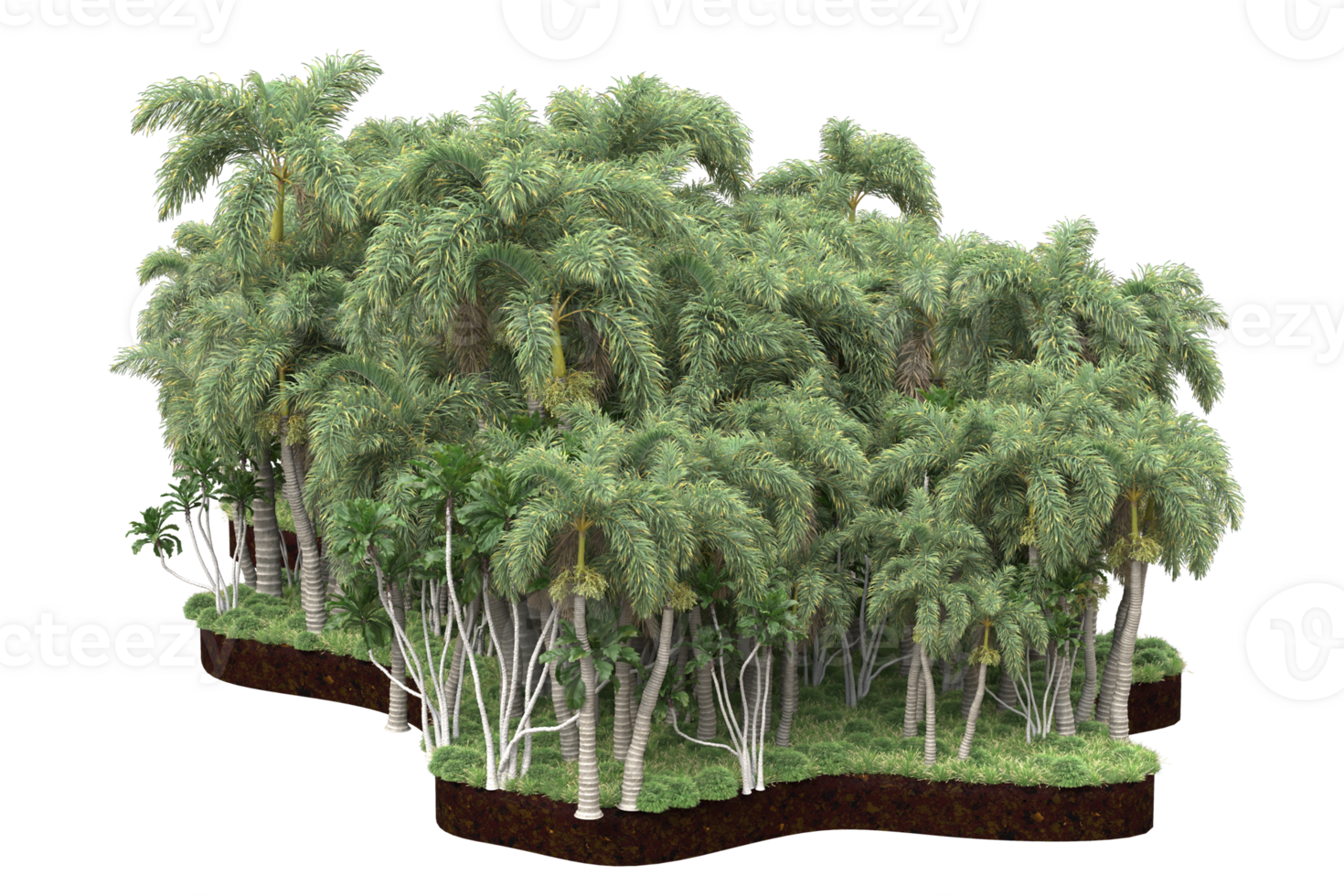 Realistic forest isolated on transparent background. 3d rendering - illustration png