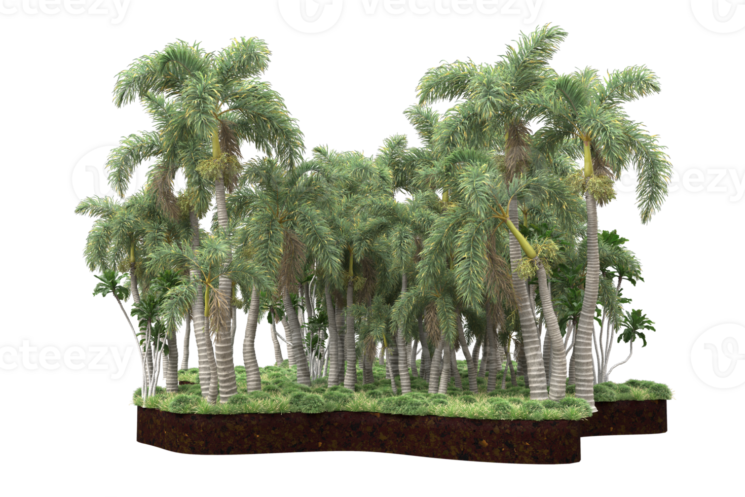 Realistic forest isolated on transparent background. 3d rendering - illustration png