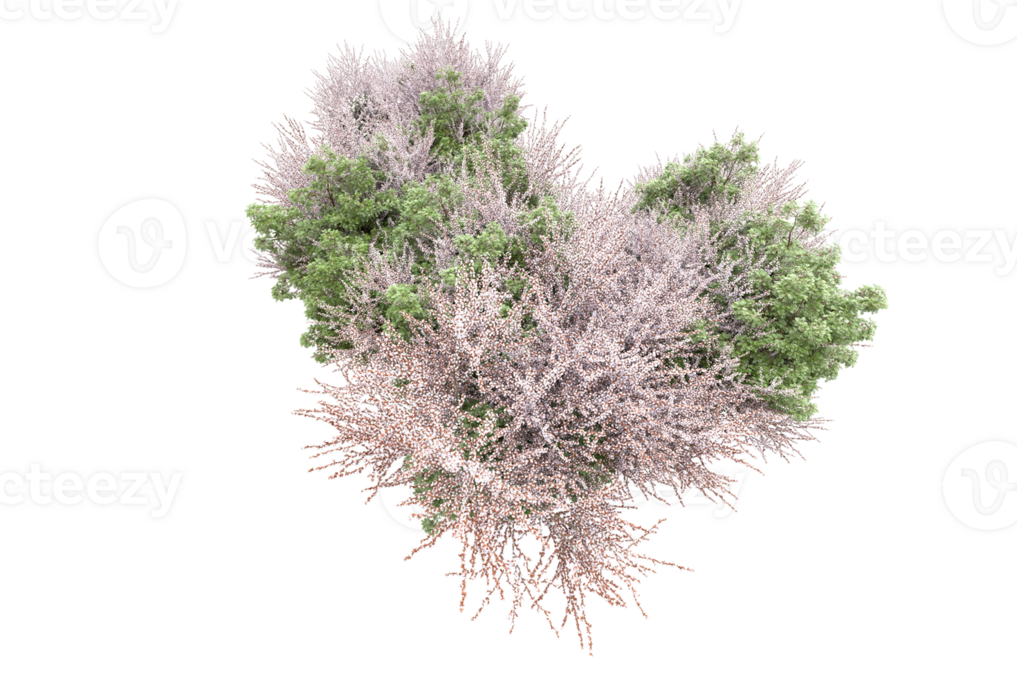 Realistic forest isolated on transparent background. 3d rendering - illustration png