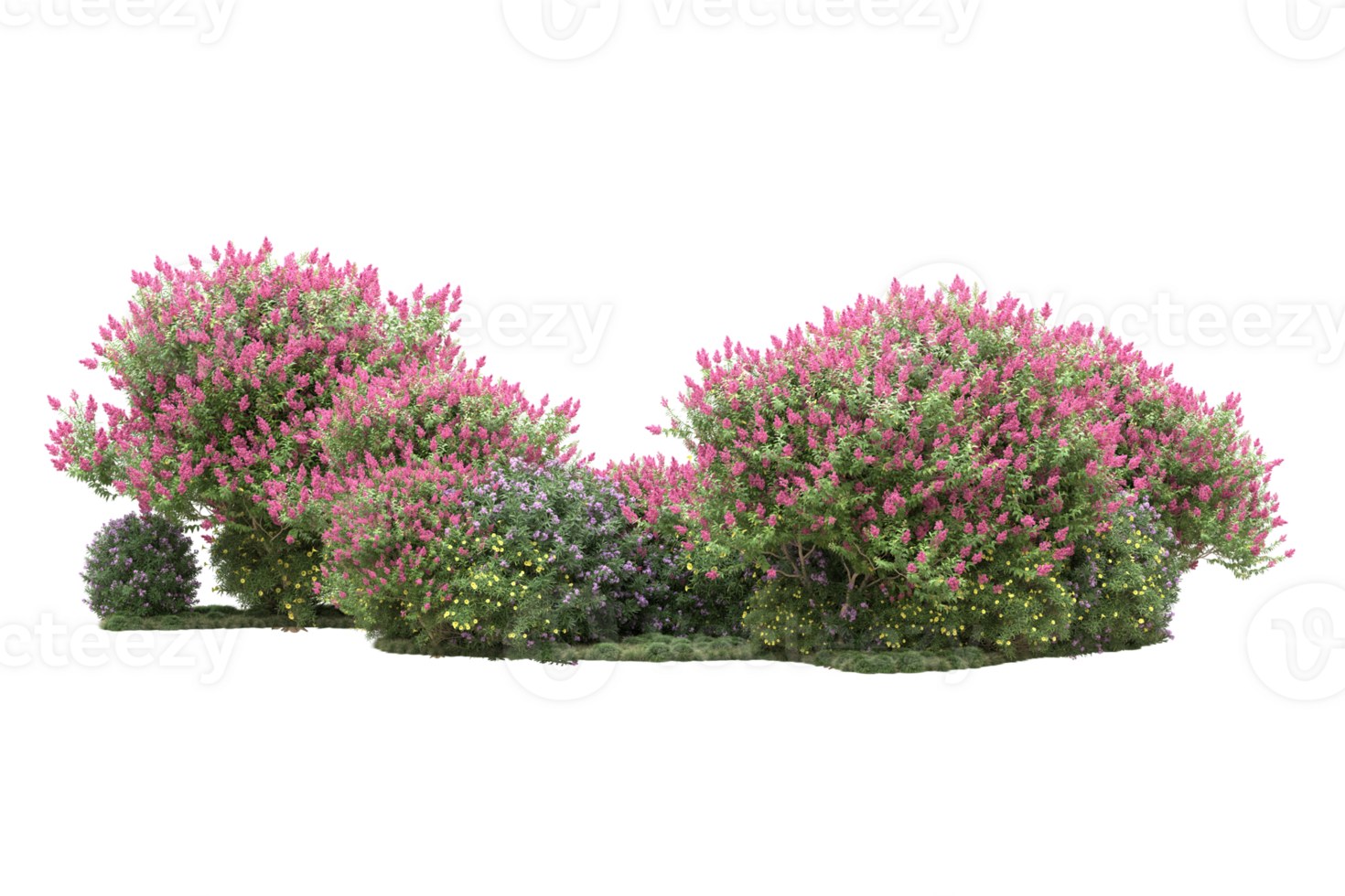 Realistic forest isolated on transparent background. 3d rendering - illustration png