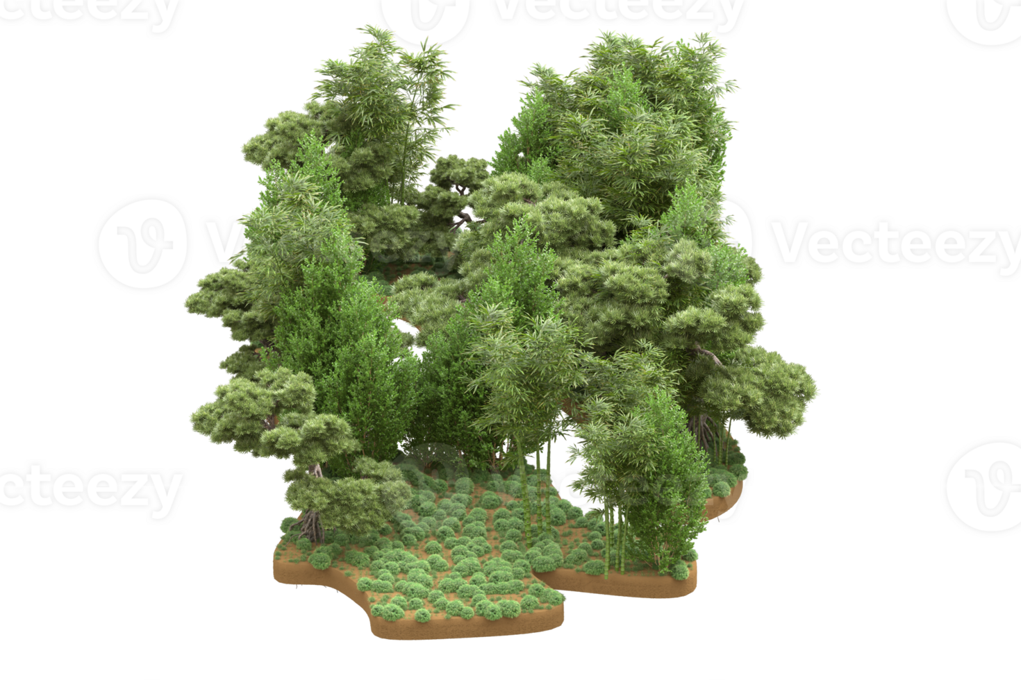 Realistic forest isolated on transparent background. 3d rendering - illustration png