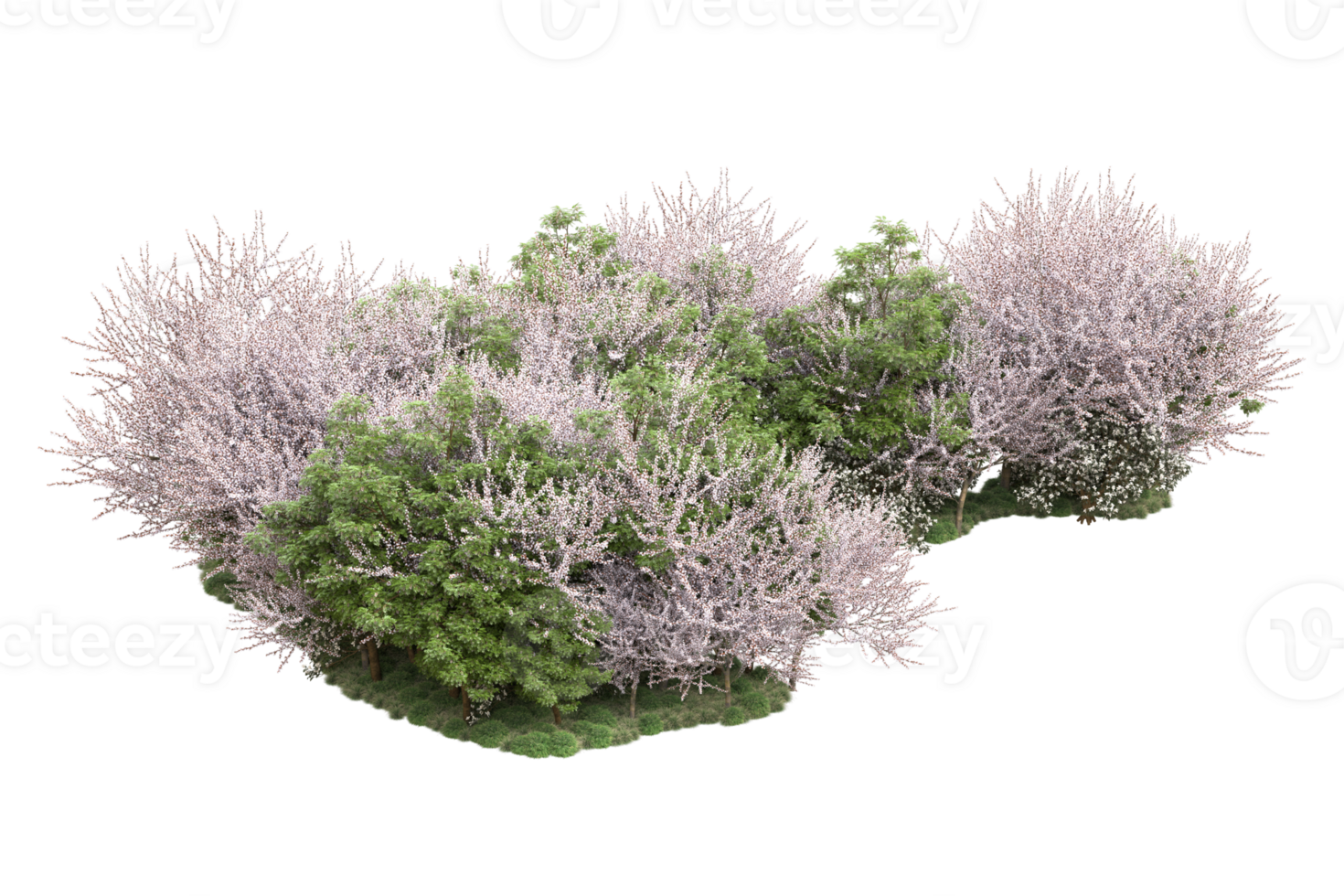 Realistic forest isolated on transparent background. 3d rendering - illustration png