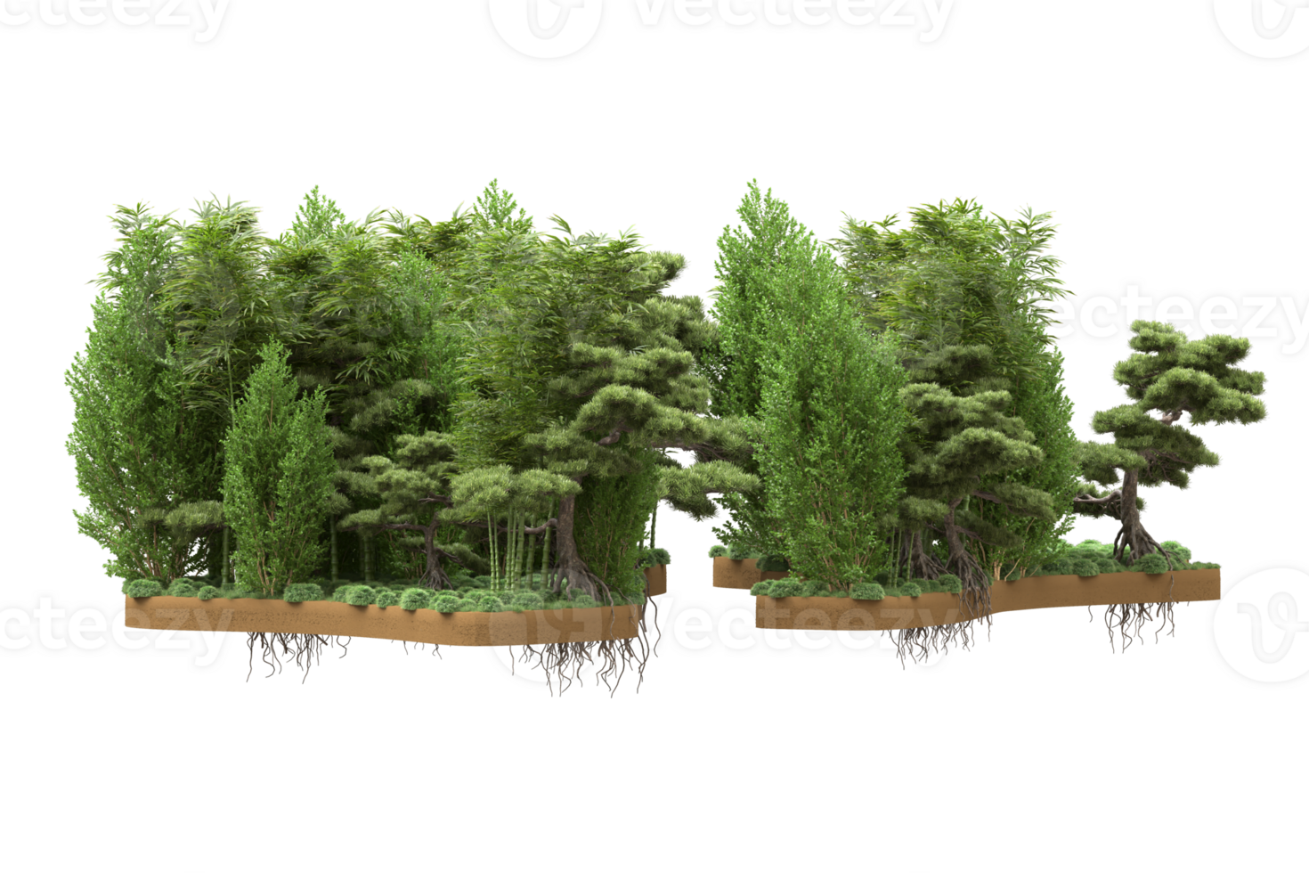 Realistic forest isolated on transparent background. 3d rendering - illustration png