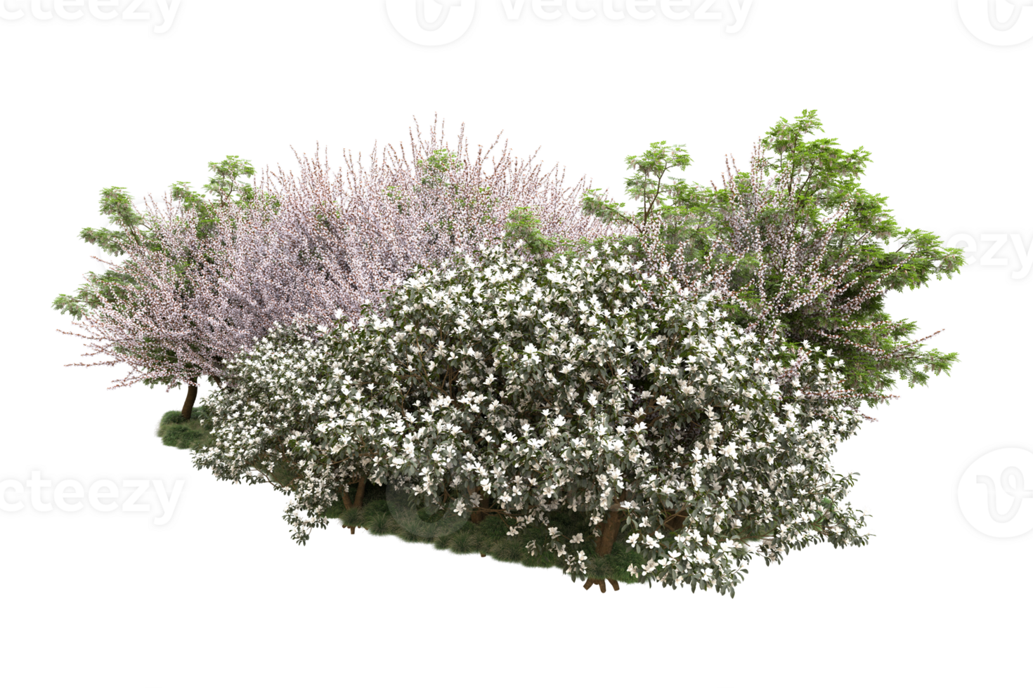 Realistic forest isolated on transparent background. 3d rendering - illustration png