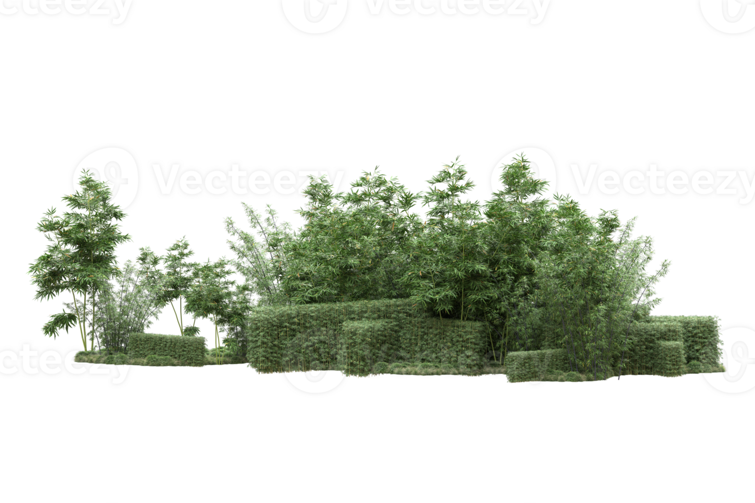 Realistic forest isolated on transparent background. 3d rendering - illustration png