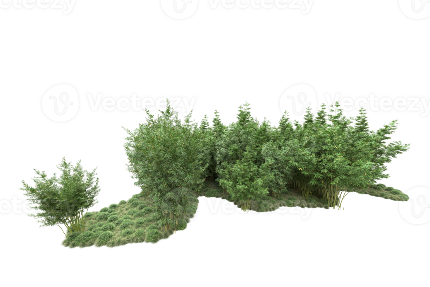 Realistic forest isolated on transparent background. 3d rendering - illustration png