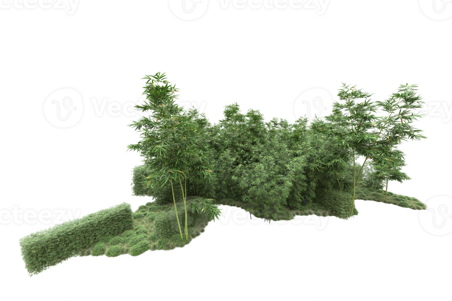 Realistic forest isolated on transparent background. 3d rendering - illustration png