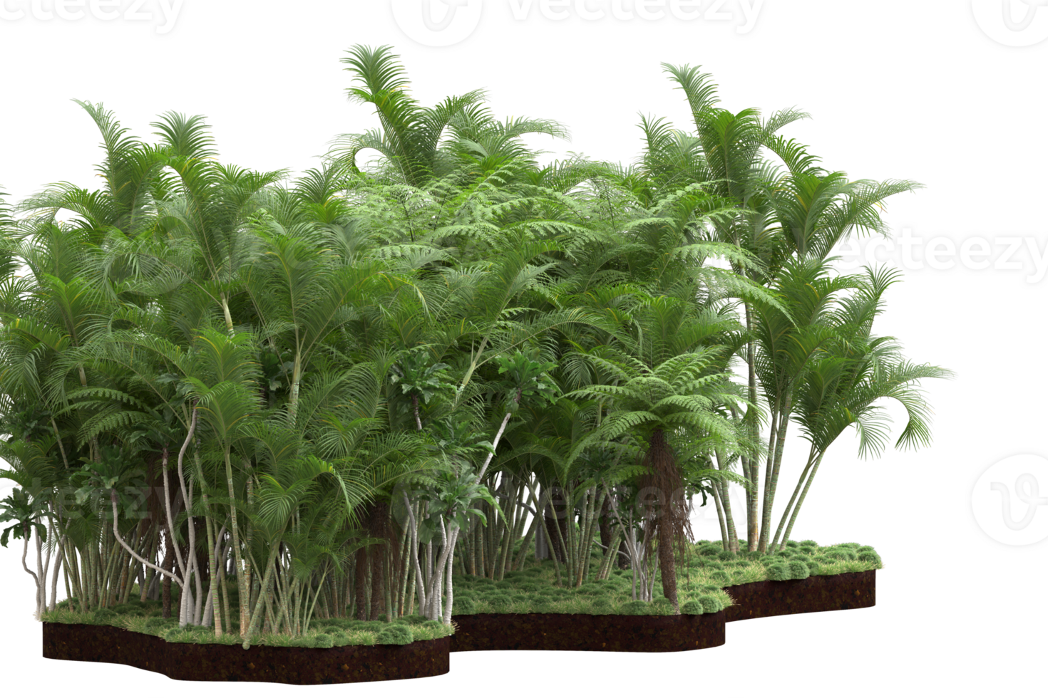 Realistic forest isolated on transparent background. 3d rendering - illustration png