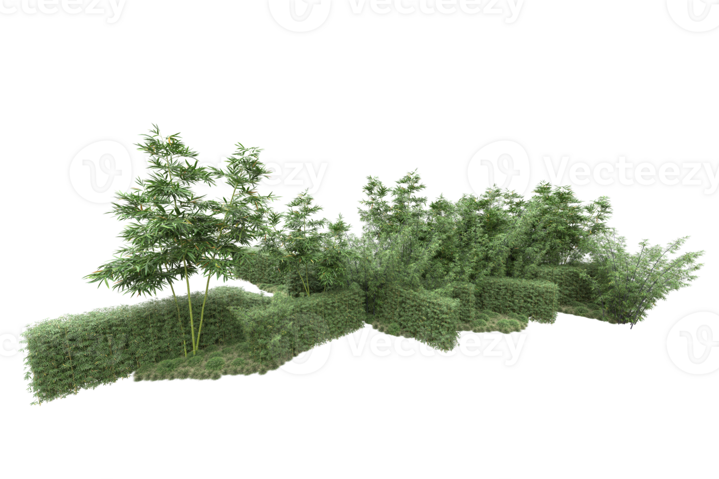 Realistic forest isolated on transparent background. 3d rendering - illustration png