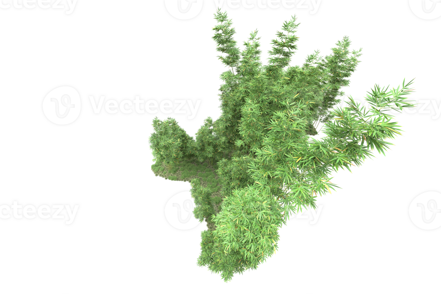 Realistic forest isolated on transparent background. 3d rendering - illustration png