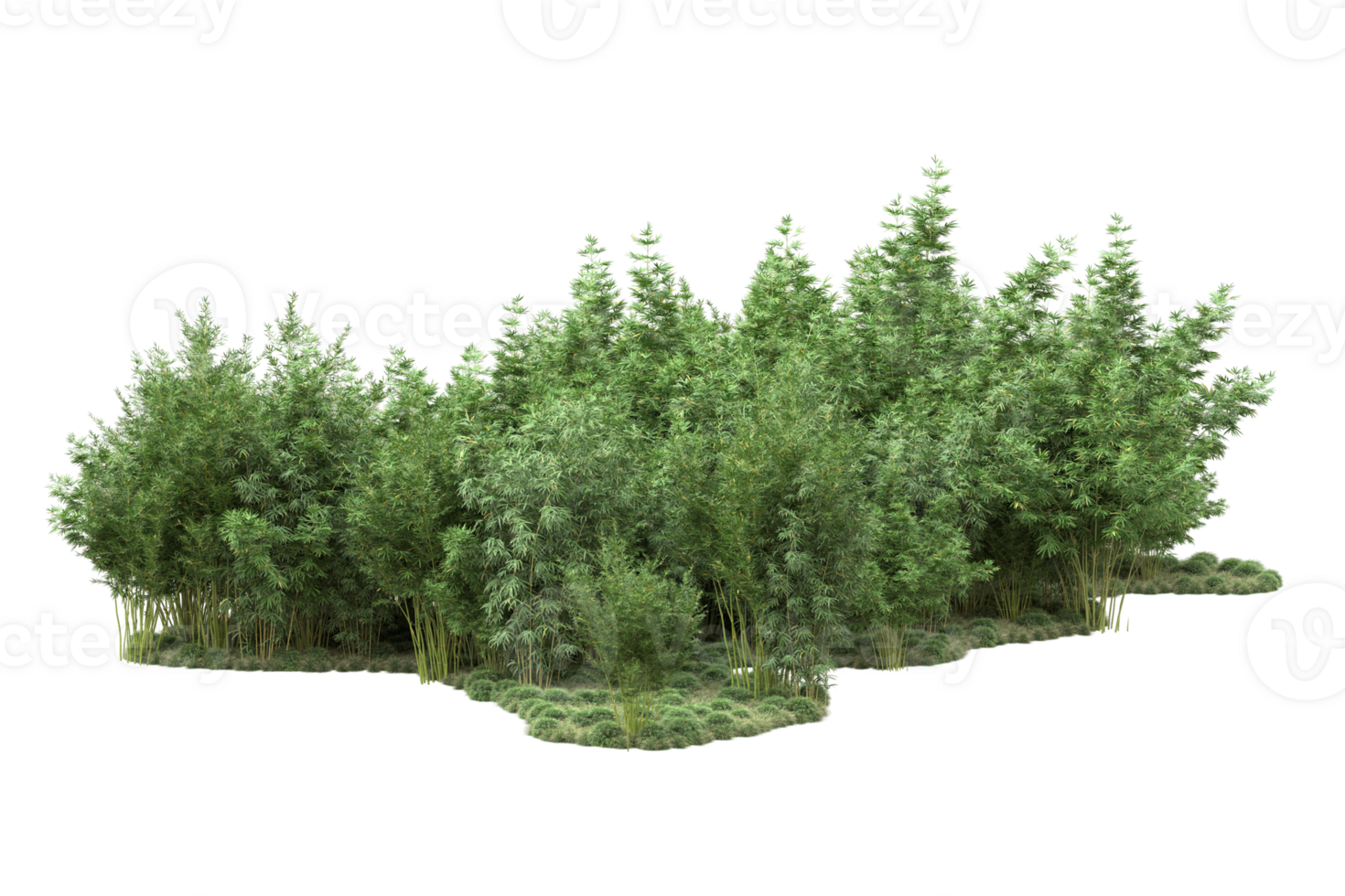 Realistic forest isolated on transparent background. 3d rendering - illustration png