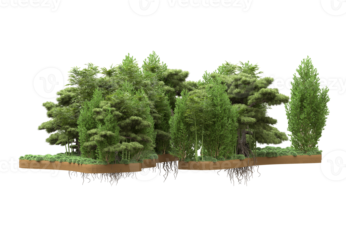 Realistic forest isolated on transparent background. 3d rendering - illustration png