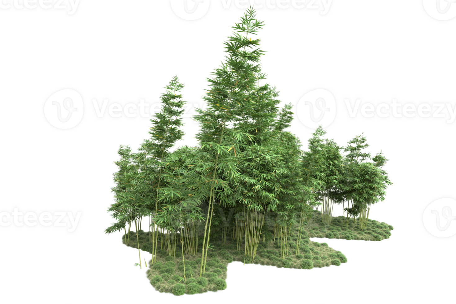 Realistic forest isolated on transparent background. 3d rendering - illustration png