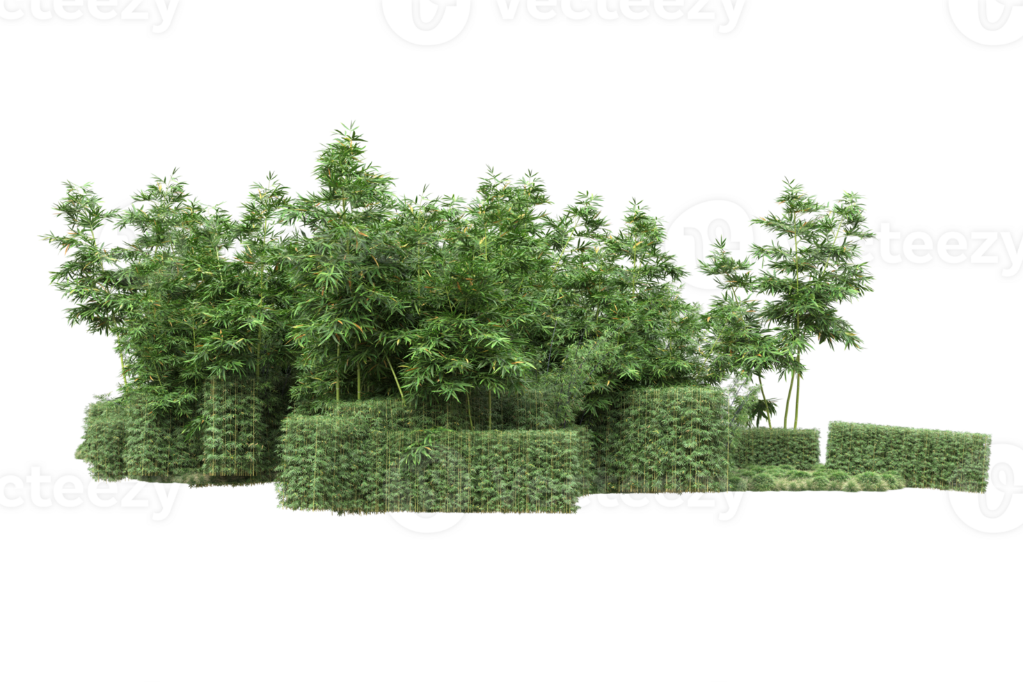 Realistic forest isolated on transparent background. 3d rendering - illustration png