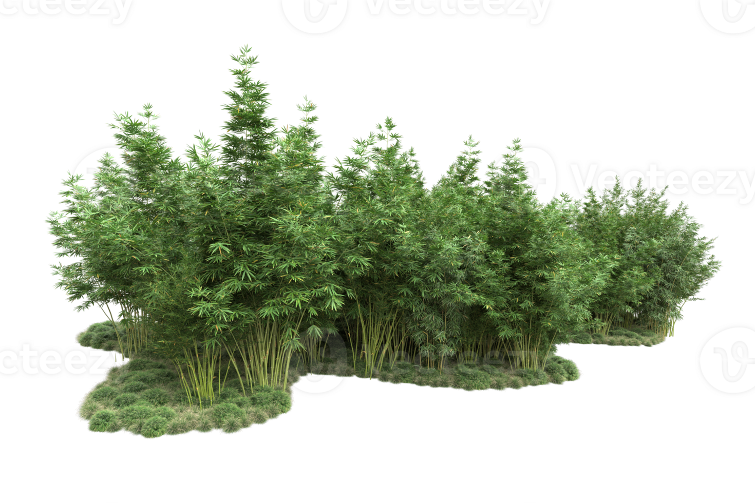 Realistic forest isolated on transparent background. 3d rendering - illustration png