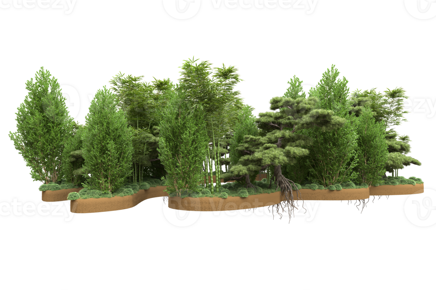 Realistic forest isolated on transparent background. 3d rendering - illustration png