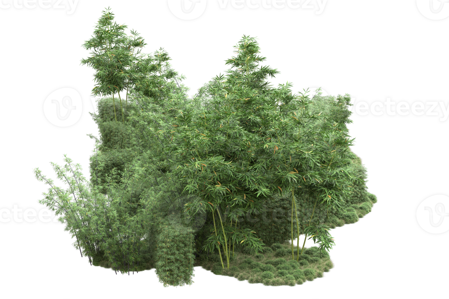 Realistic forest isolated on transparent background. 3d rendering - illustration png