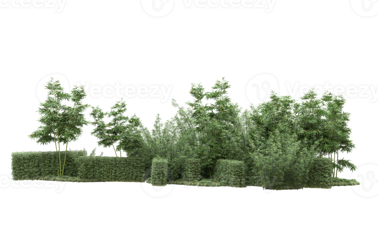 Realistic forest isolated on transparent background. 3d rendering - illustration png